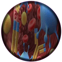 Immunology - Offline